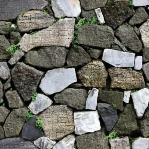 Glyph stone_87012-3